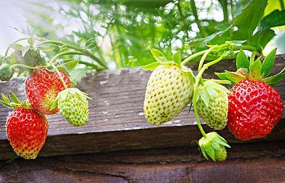 《斯普拉遁3》公布全新战斗舞台 荒野金属垃圾船